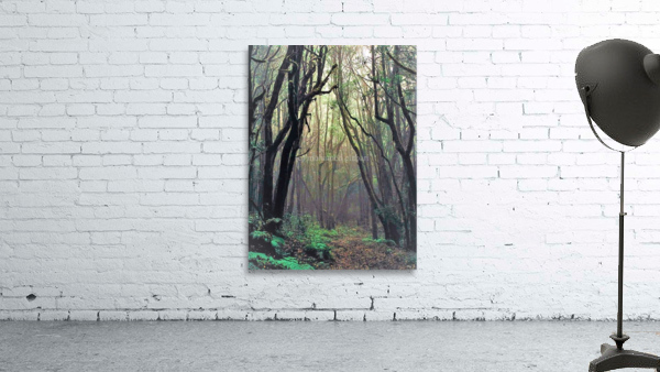 2283 Wall Preview