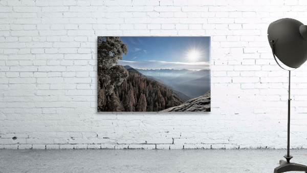 2352 Wall Preview