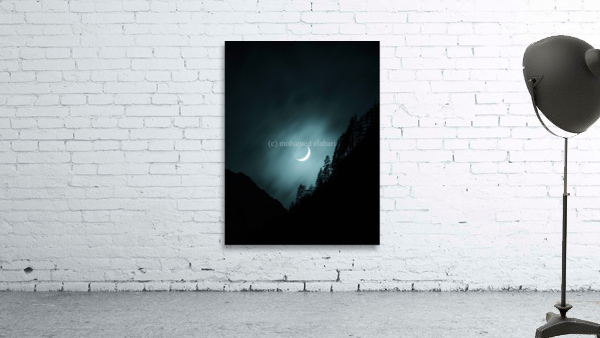 2358 Wall Preview