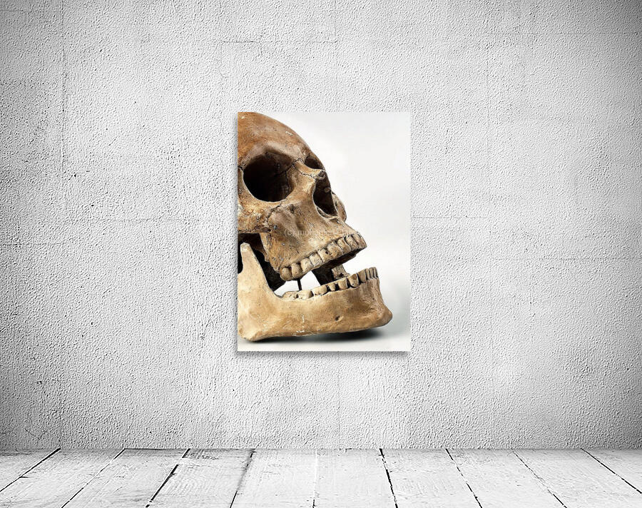 2464 Wall Preview