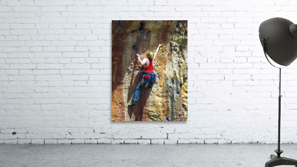 2489 Wall Preview