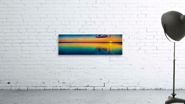 2533 Wall Preview