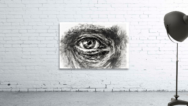 2554 Wall Preview