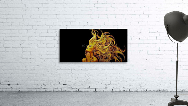 2571 Wall Preview