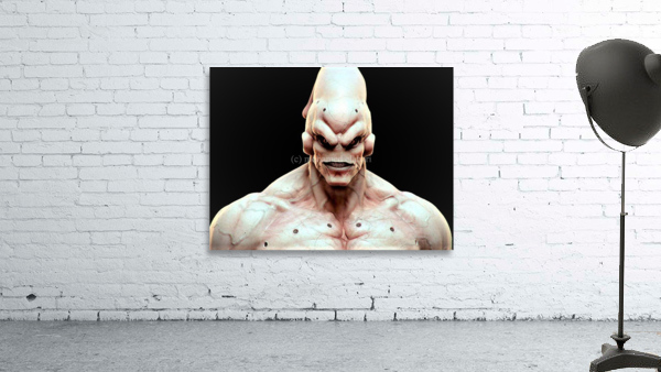 2597 Wall Preview