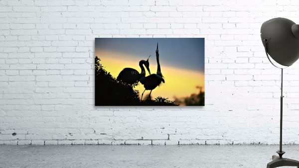 2607 Wall Preview