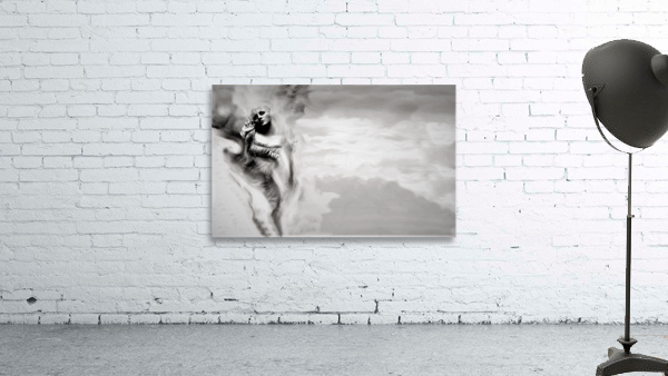 2614 Wall Preview