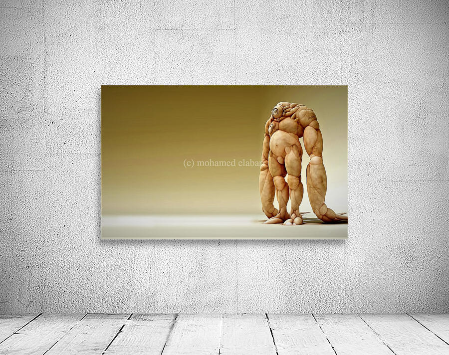 2617 Wall Preview