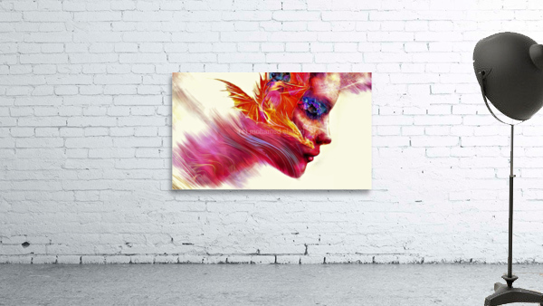 2681 Wall Preview