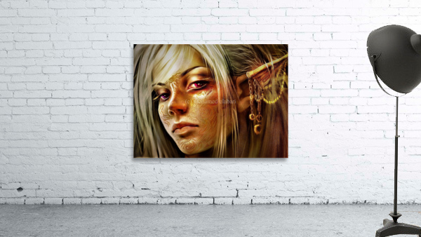 2748 Wall Preview