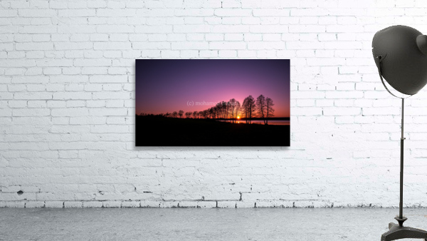2804 Wall Preview