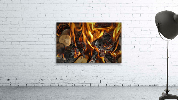 2806 Wall Preview