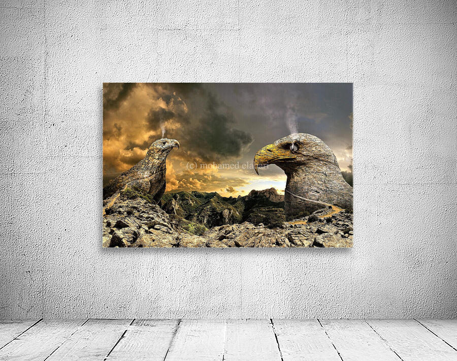 2842 Wall Preview