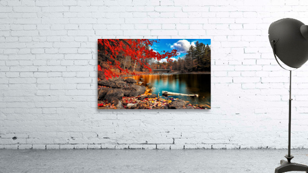 2846 Wall Preview