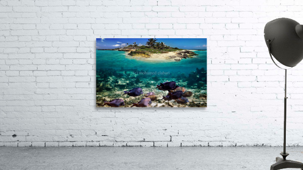 2849 Wall Preview