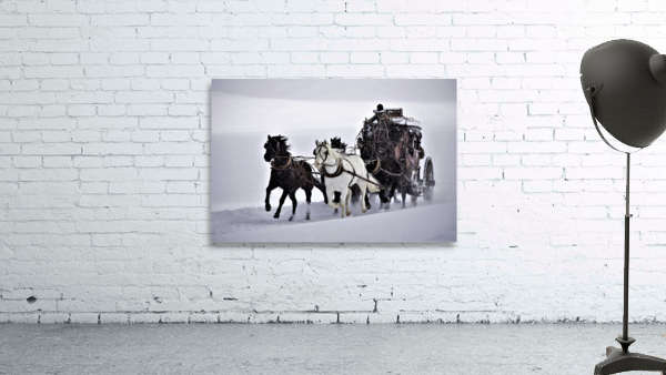 2862 Wall Preview