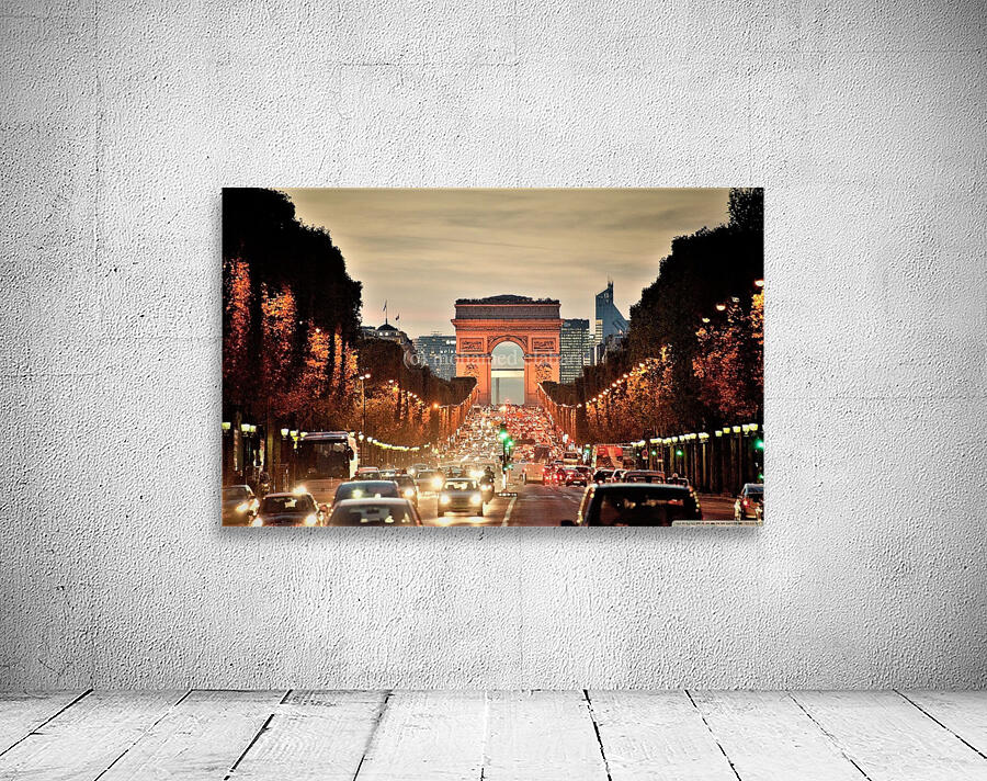 2881 Wall Preview