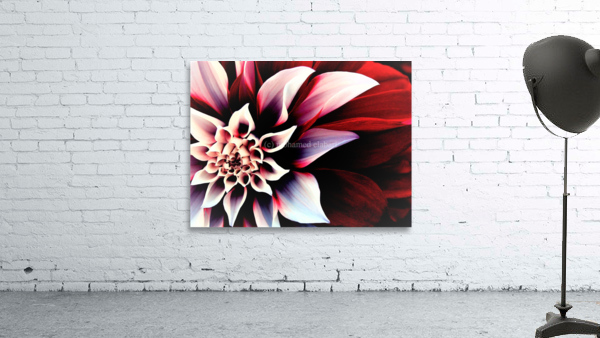 2920 Wall Preview