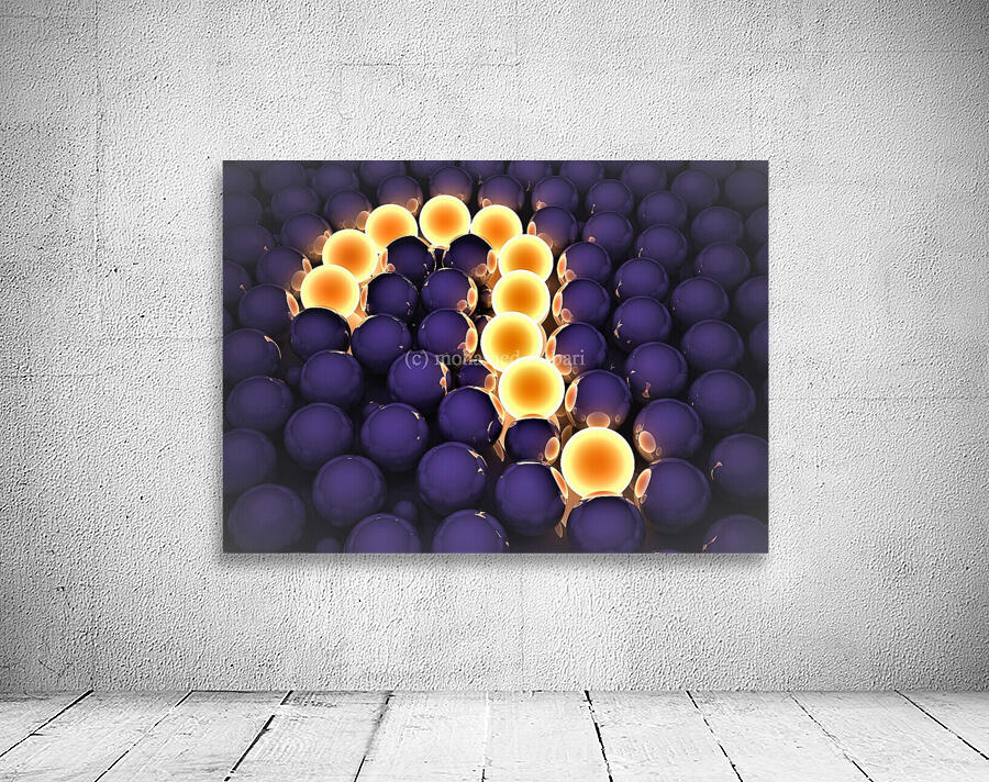 3109 Wall Preview