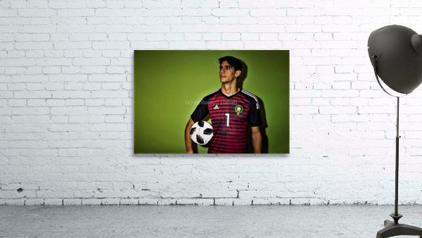 3165 Wall Preview