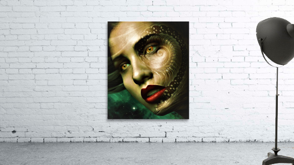 3189 Wall Preview