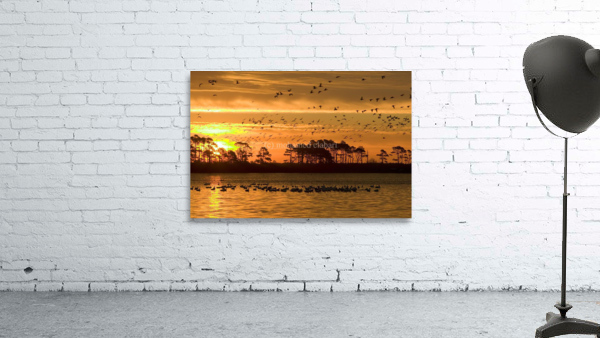 3305 Wall Preview