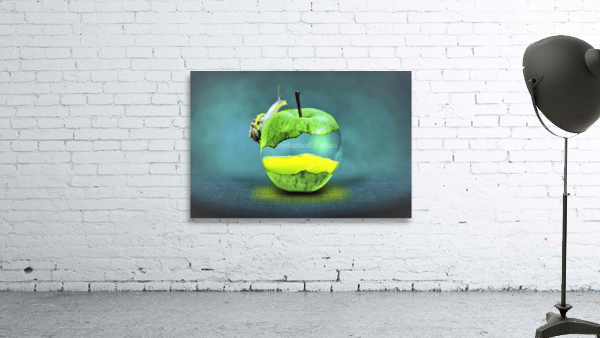 3328 Wall Preview