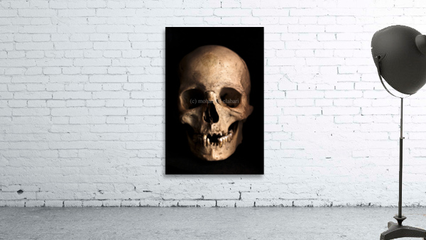 3421 Wall Preview
