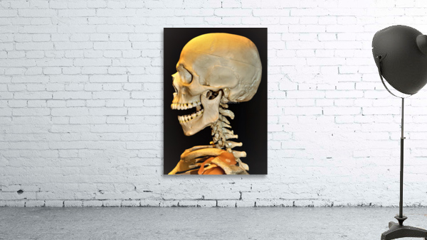 3430 Wall Preview