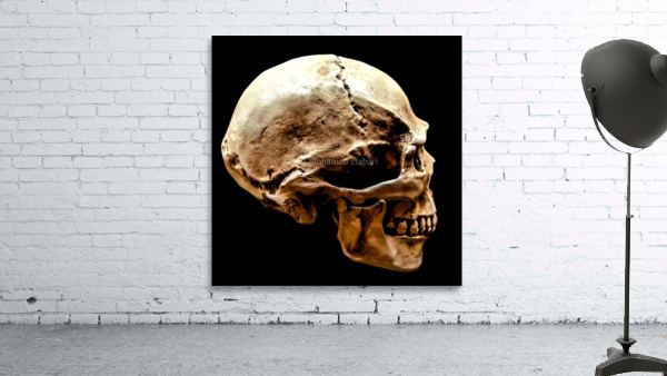 3465 Wall Preview