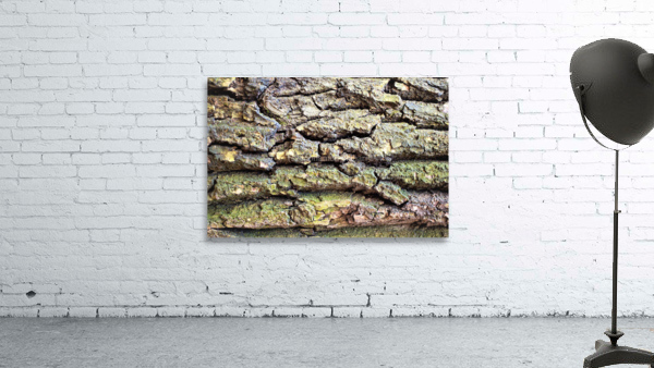 3508 Wall Preview