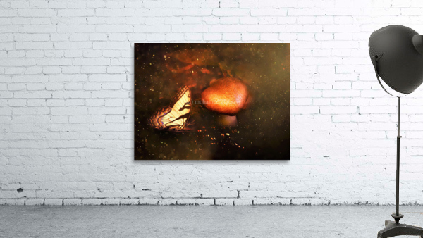 3521 Wall Preview