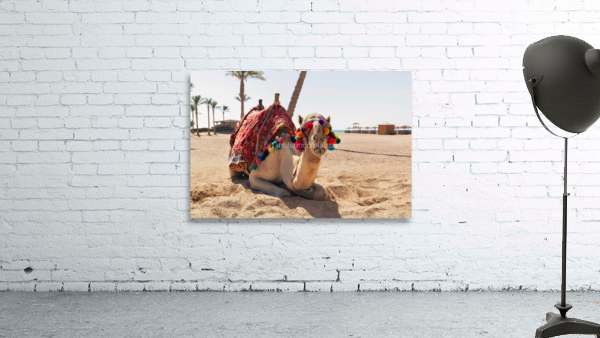 3585 Wall Preview