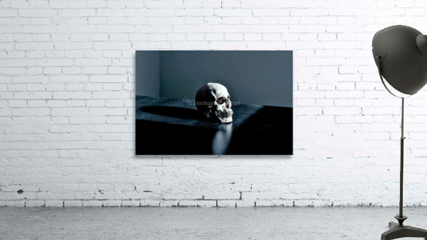 3627 Wall Preview