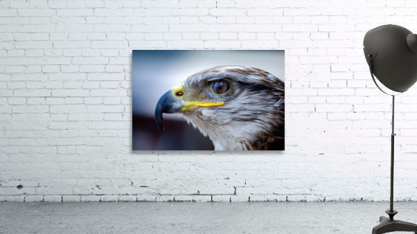 3644 Wall Preview