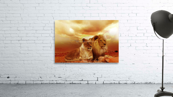 3739 Wall Preview