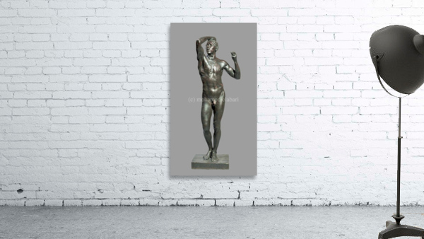 3786 Wall Preview