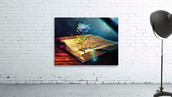 3829 Wall Preview