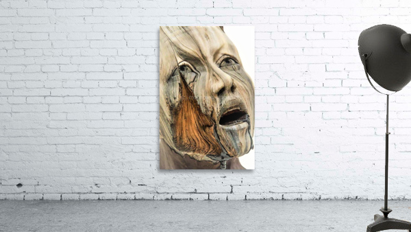 3848 Wall Preview