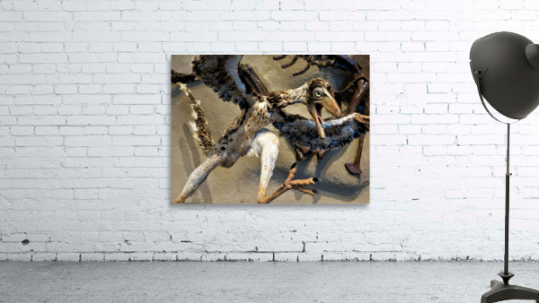 3935 Wall Preview