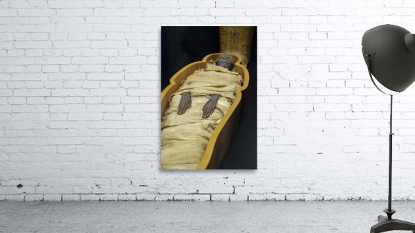 3973 Wall Preview