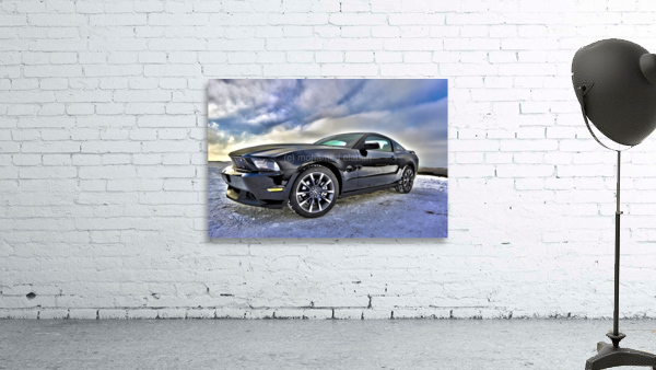 3995 Wall Preview