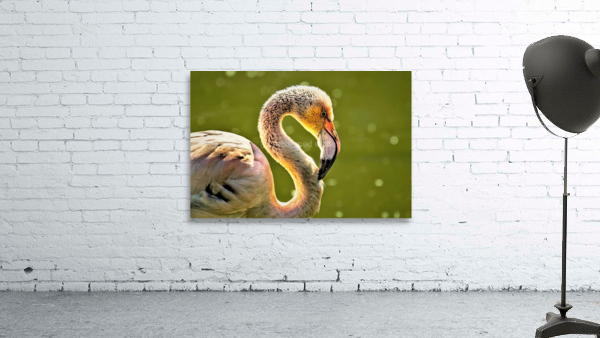 3999 Wall Preview