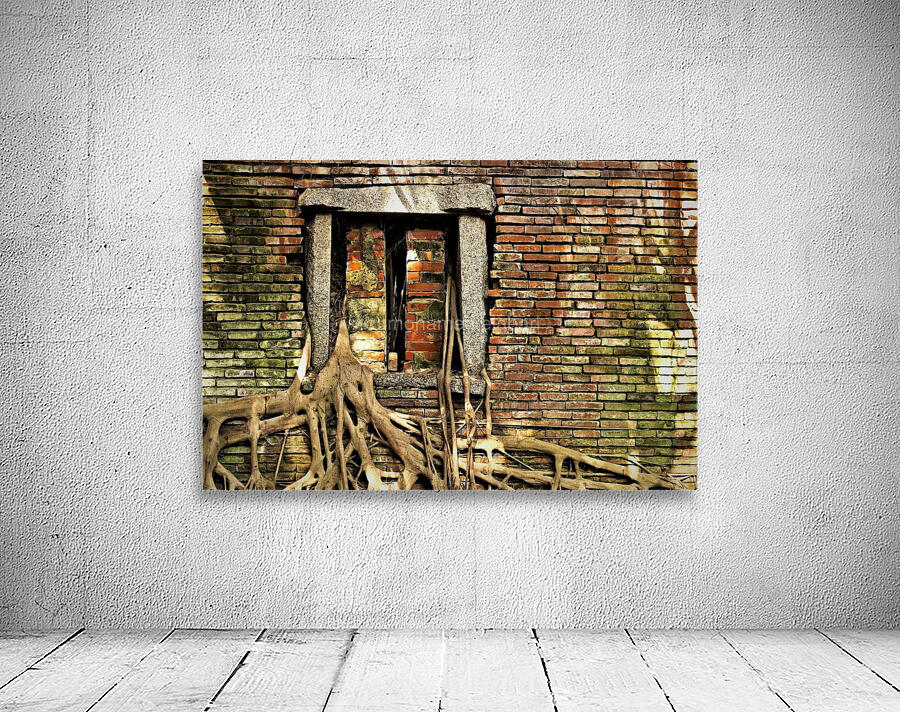 4003 Wall Preview