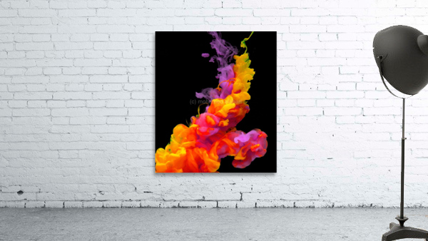 4051 Wall Preview