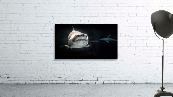 4082 Wall Preview