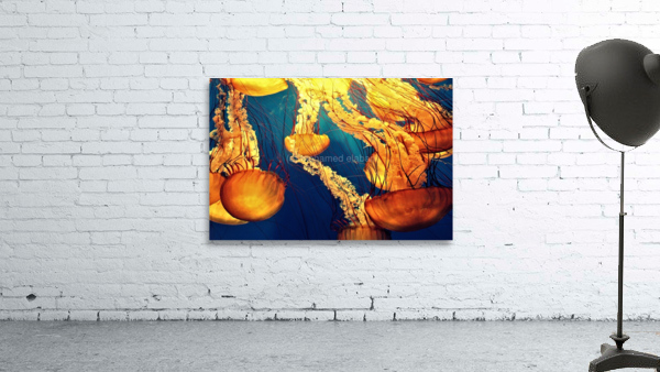4085 Wall Preview