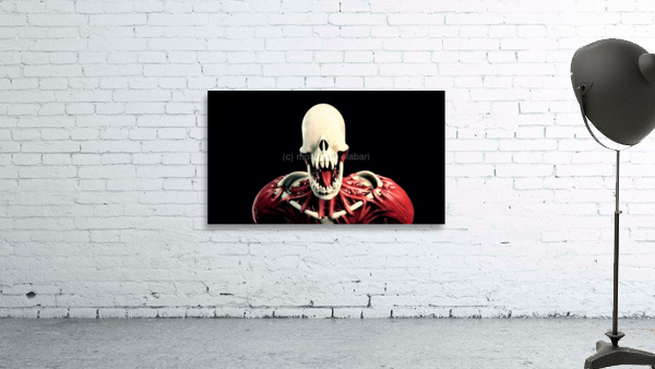 4097 Wall Preview
