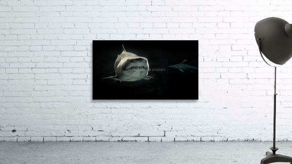 4116 Wall Preview