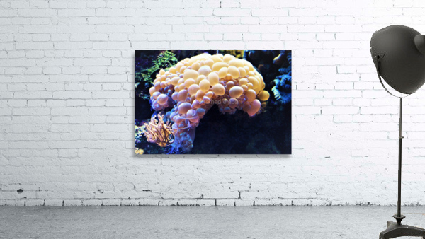 4119 Wall Preview